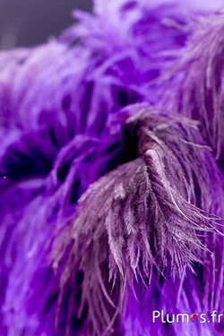 Autruche - 30-40 cm - gris naturel-violet